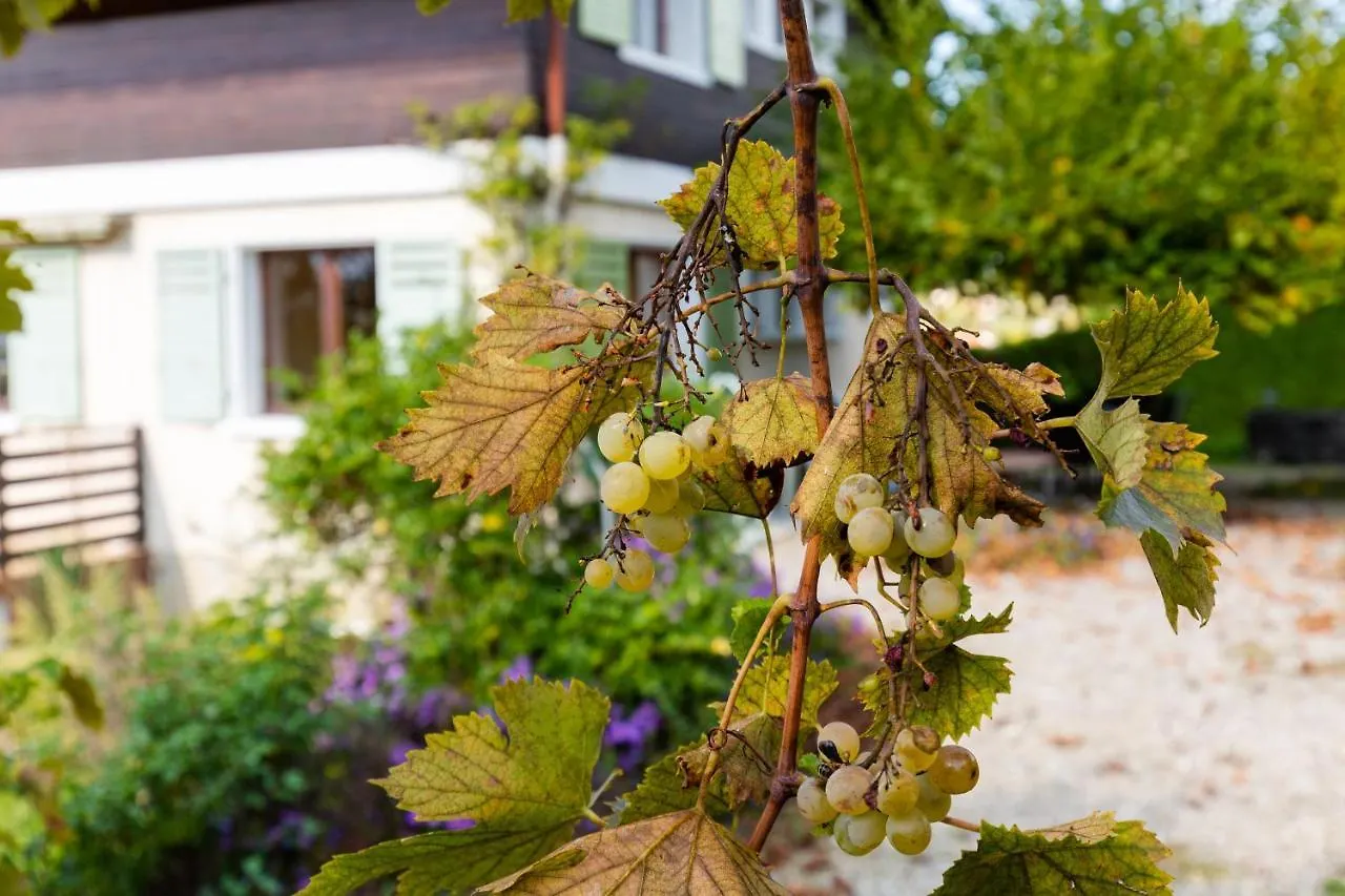 Chalet Les Tourelles Aix-les-Bains